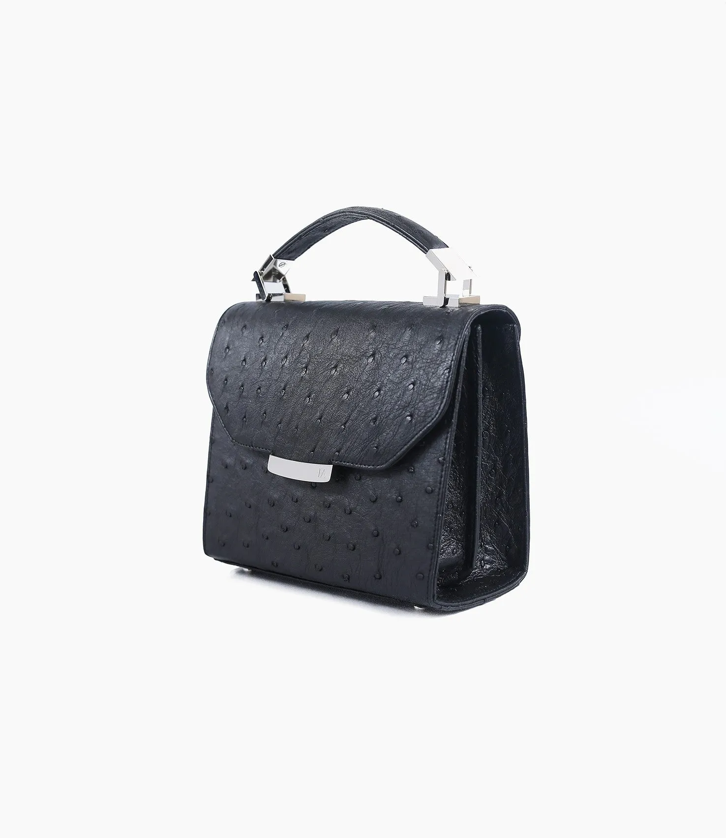 Black Ostrich Mini Steffany Tote