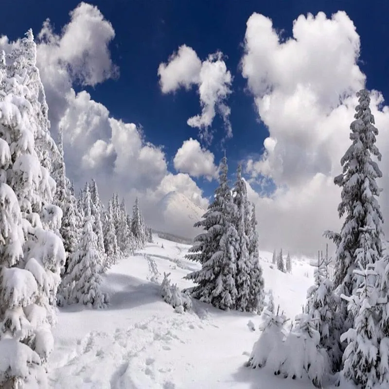 Custom Mural Wallpaper Winter Snow Forest Landscape (㎡)