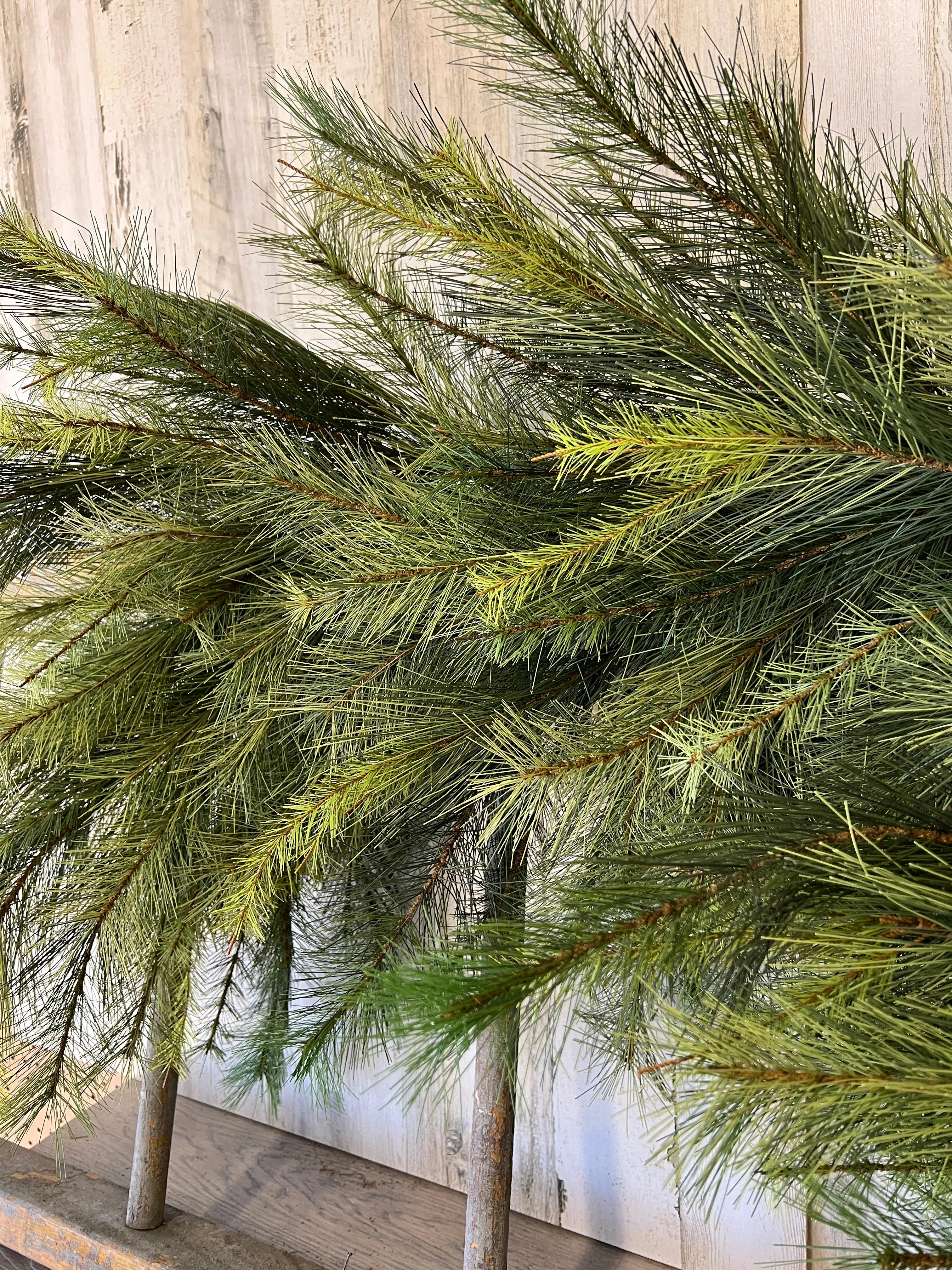 Deluxe Appalachian Pine Garland