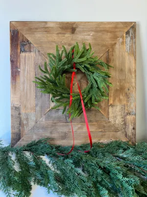 Norfolk Pine Mini Wreath for Christmas, Set of 2