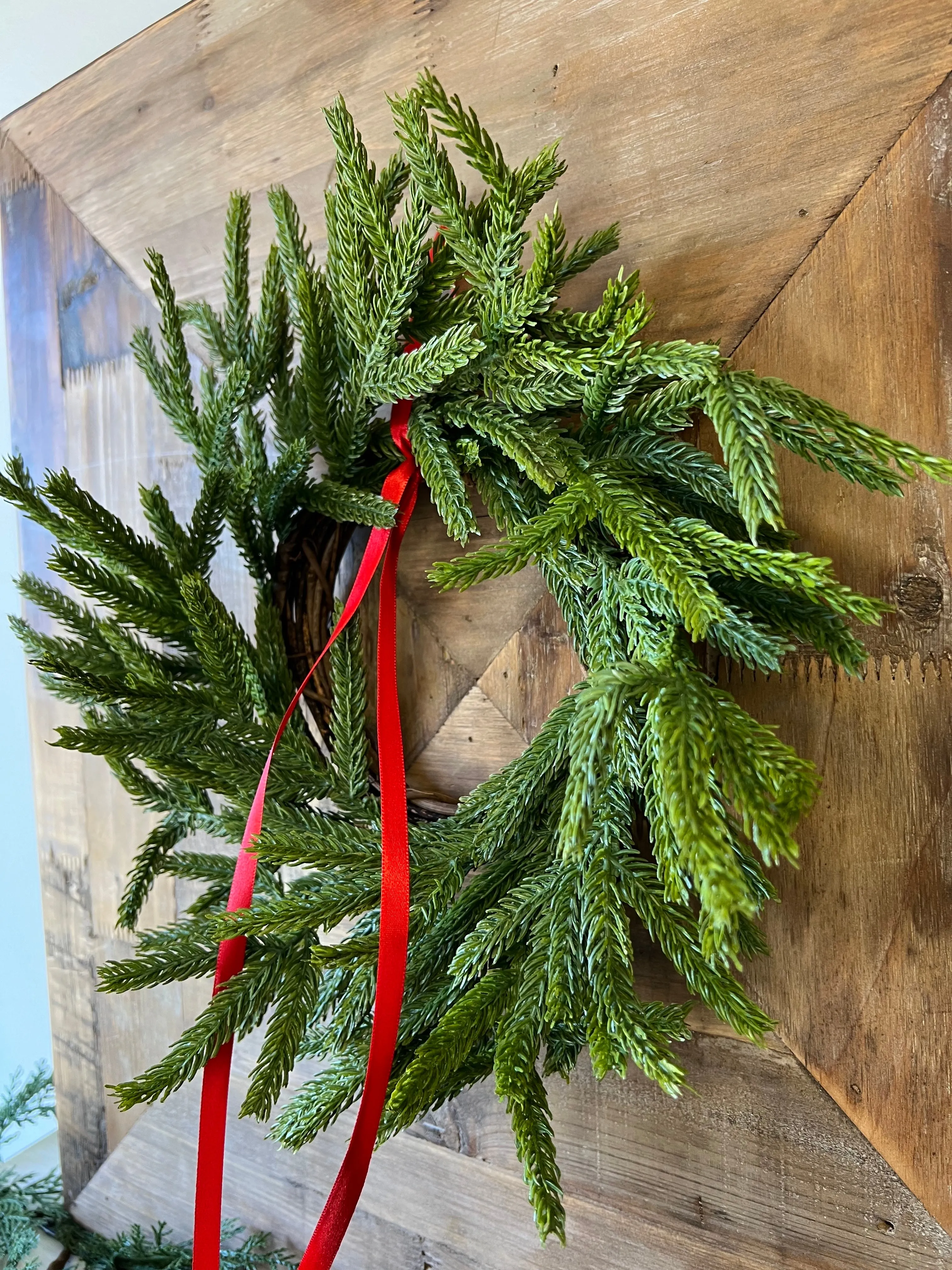 Norfolk Pine Mini Wreath for Christmas, Set of 2