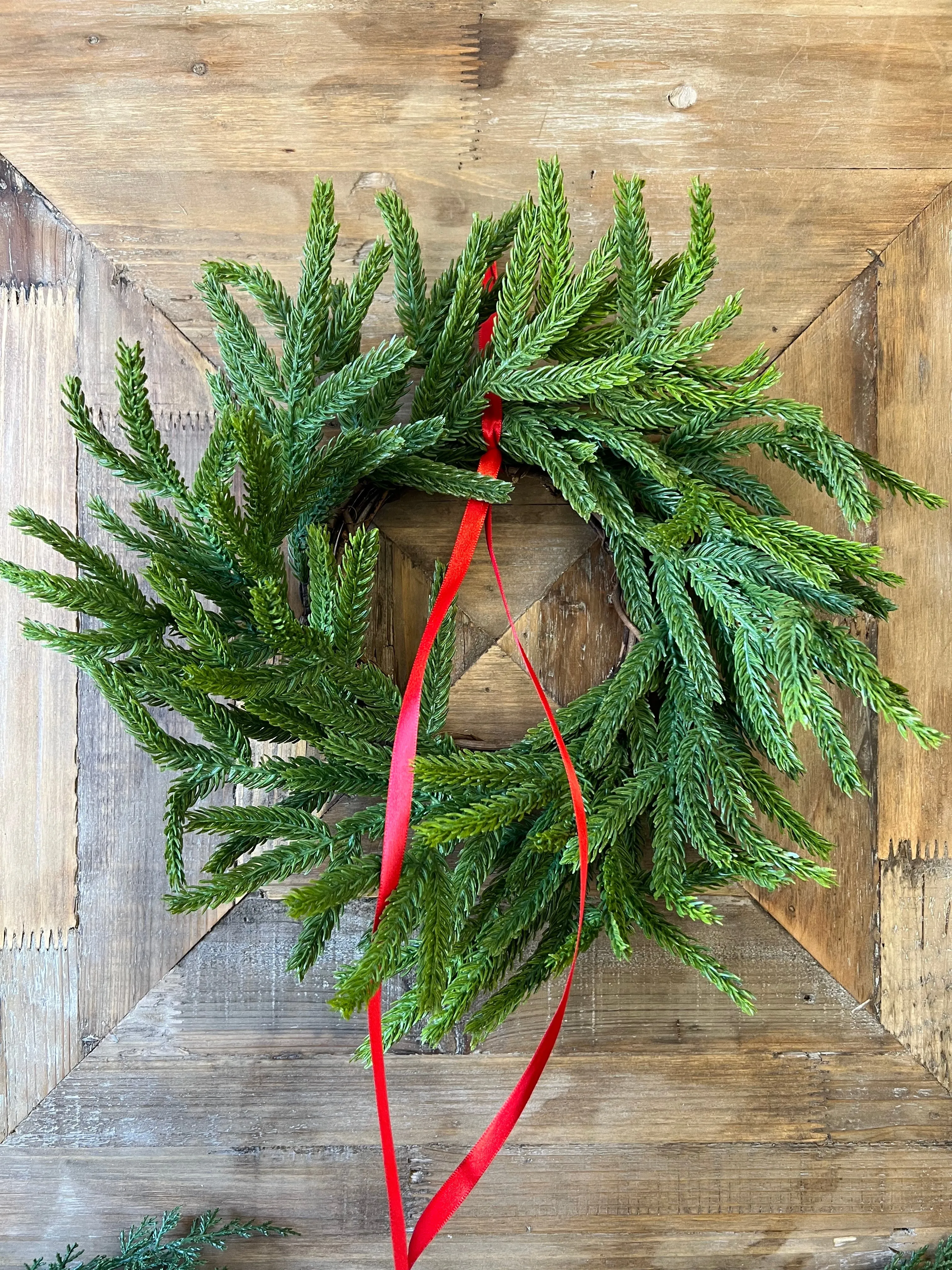 Norfolk Pine Mini Wreath for Christmas, Set of 2