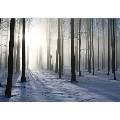 wall26 - A Blanket of Snow in The Forest at Winter Time - Wall Mural, Removable Sticker, Home Decor - 66x96 inches